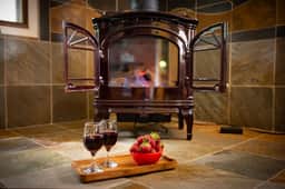 Mountain Cabana: Forest Views, Fireplace, Pet & Kid Friendly - Image 4